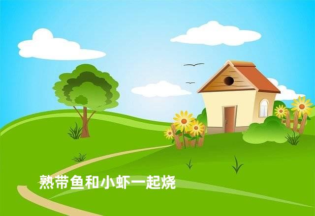 熟带鱼和小虾一起烧