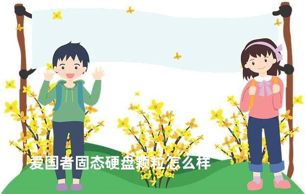 爱国者固态硬盘颗粒怎么样