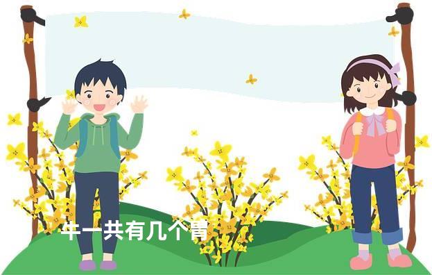 牛一共有几个胃