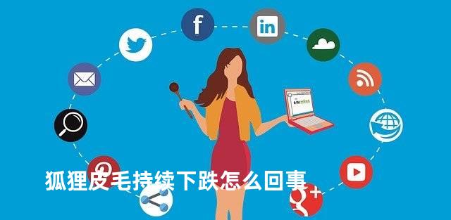 狐狸皮毛持续下跌怎么回事