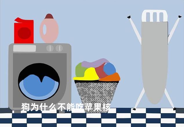 狗为什么不能吃苹果核