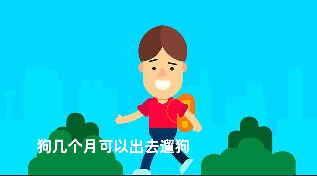 狗几个月可以出去遛狗