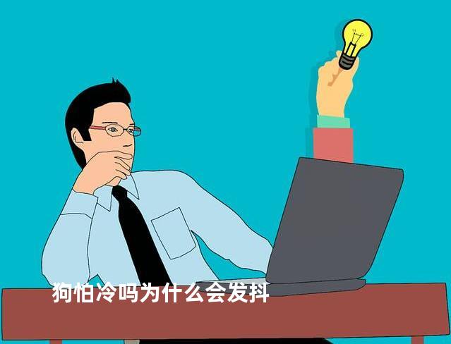 狗怕冷吗为什么会发抖