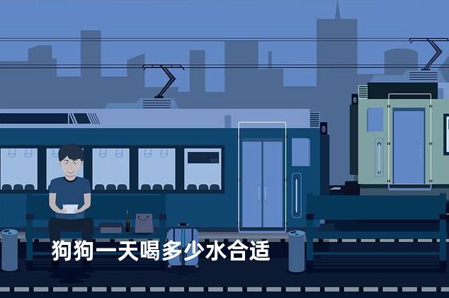 狗狗一天喝多少水合适