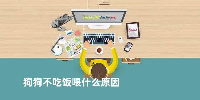 狗狗不吃饭喂什么原因