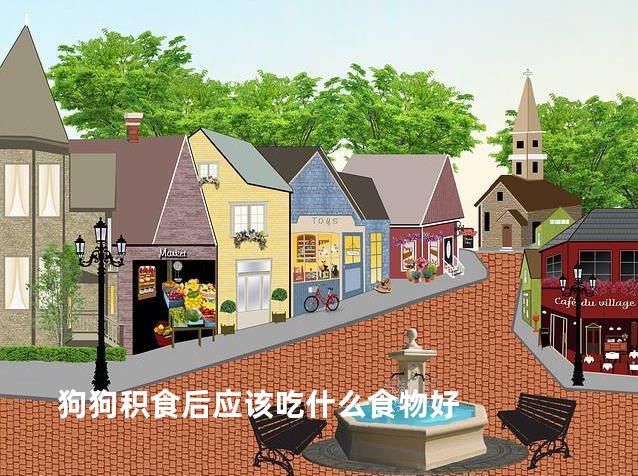 狗狗积食后应该吃什么食物好