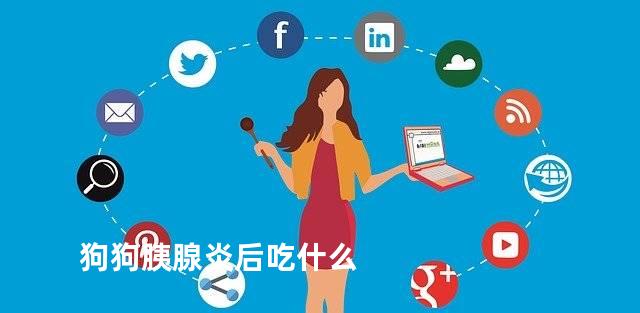 狗狗胰腺炎后吃什么