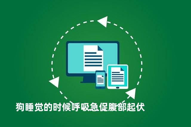 狗睡觉的时候呼吸急促腹部起伏