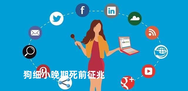 狗细小晚期死前征兆