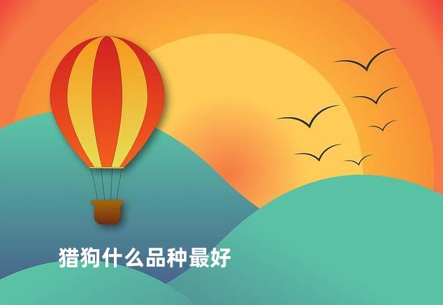 猎狗什么品种最好
