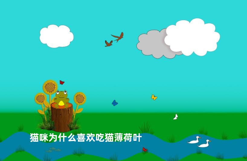 猫咪为什么喜欢吃猫薄荷叶