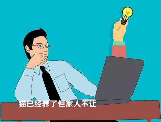 猫已经养了但家人不让