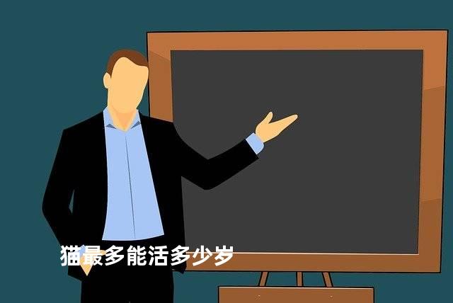 猫最多能活多少岁
