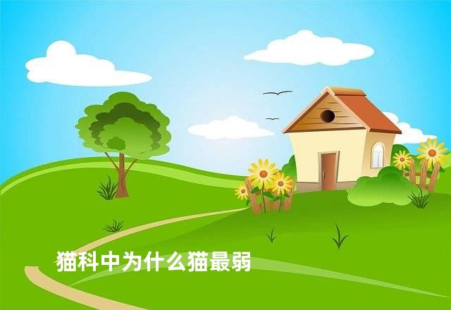 猫科中为什么猫最弱