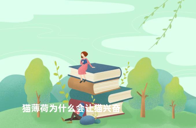 猫薄荷为什么会让猫兴奋