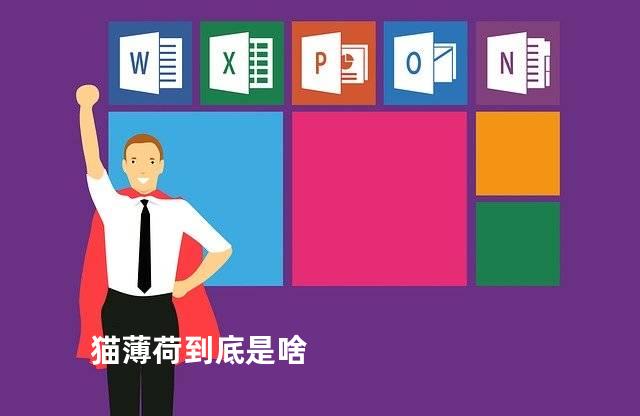 猫薄荷到底是啥