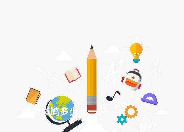 珠颈斑鸠多少元一只