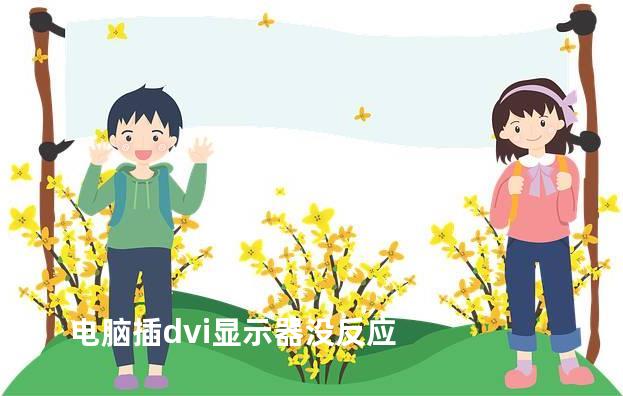 电脑插dvi显示器没反应
