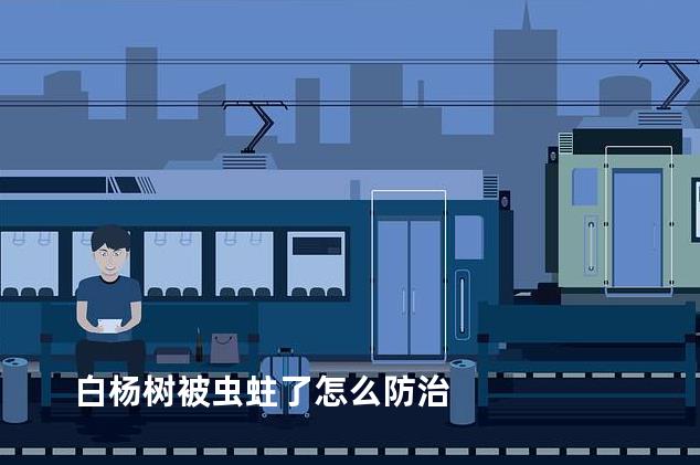 白杨树被虫蛀了怎么防治