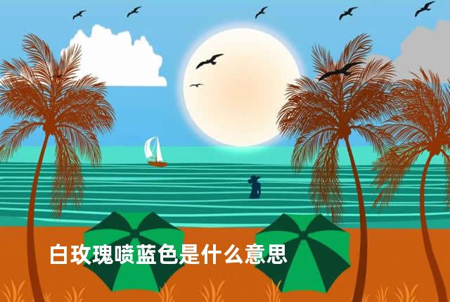 白玫瑰喷蓝色是什么意思