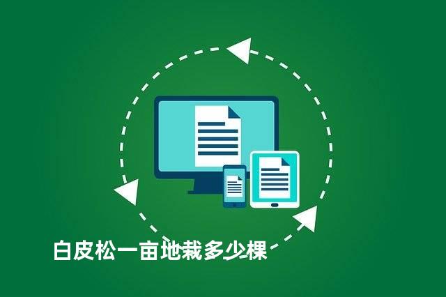 白皮松一亩地栽多少棵