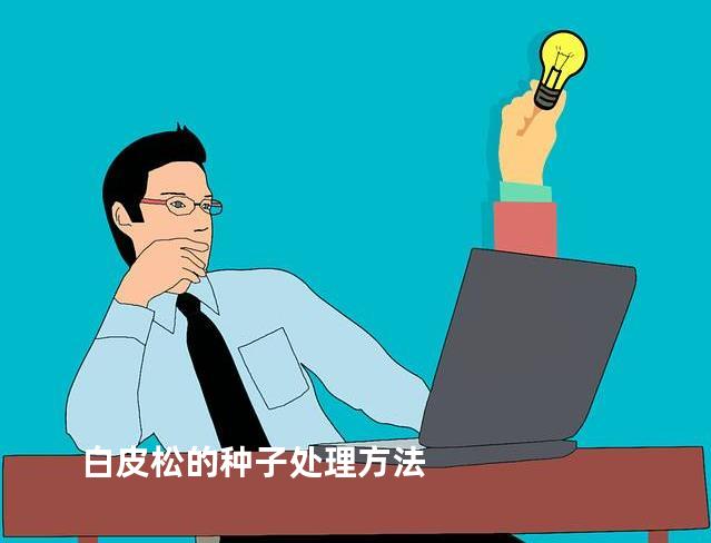 白皮松的种子处理方法