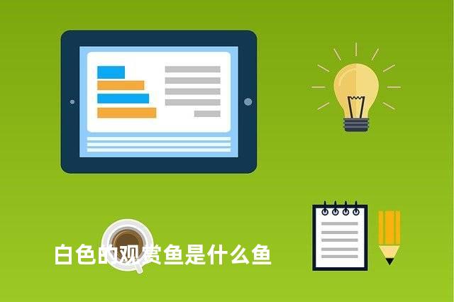 白色的观赏鱼是什么鱼