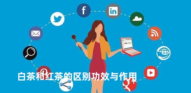 白茶和红茶的区别功效与作用