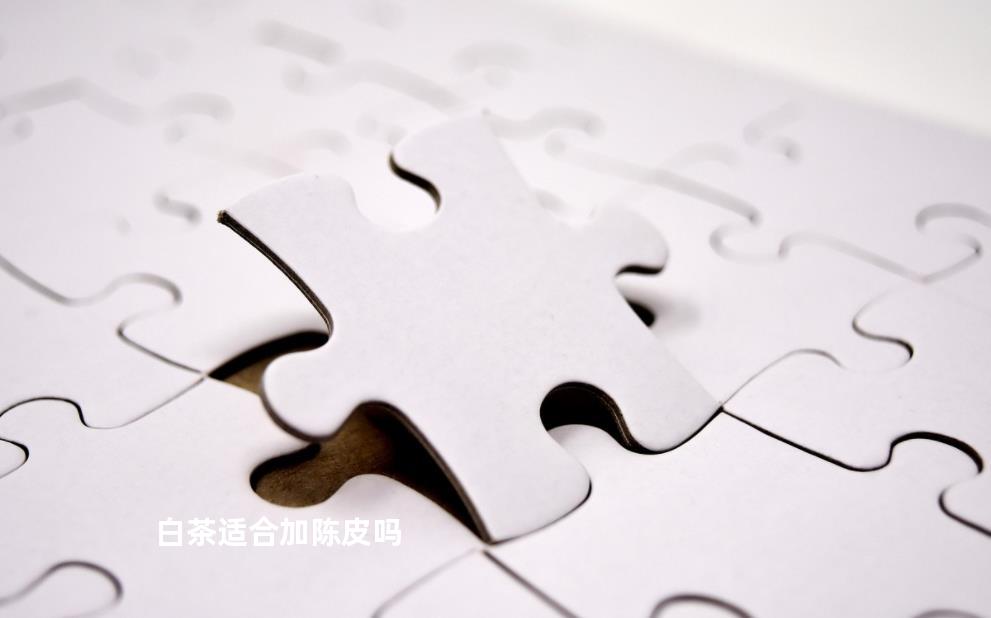 白茶适合加陈皮吗