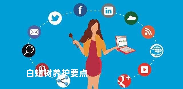 白蜡树养护要点