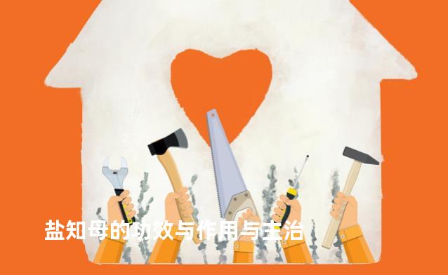 盐知母的功效与作用与主治