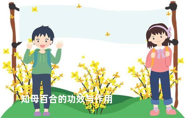 知母百合的功效与作用