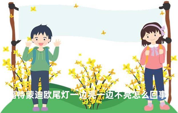 福特蒙迪欧尾灯一边亮一边不亮怎么回事