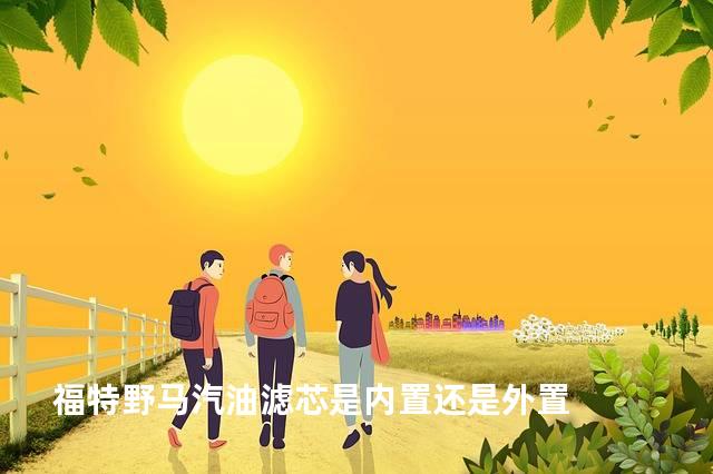 福特野马汽油滤芯是内置还是外置