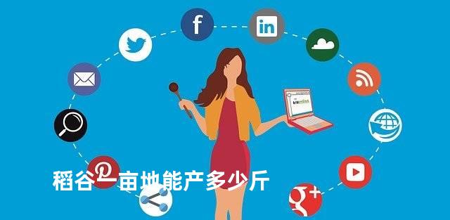 稻谷一亩地能产多少斤