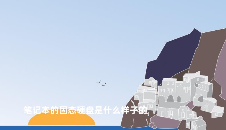 笔记本的固态硬盘是什么样子的