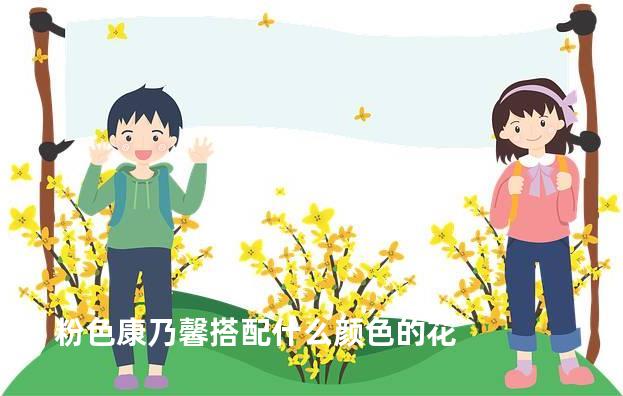 粉色康乃馨搭配什么颜色的花