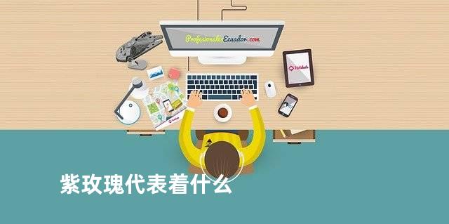 紫玫瑰代表着什么