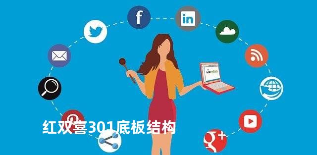 红双喜301底板结构