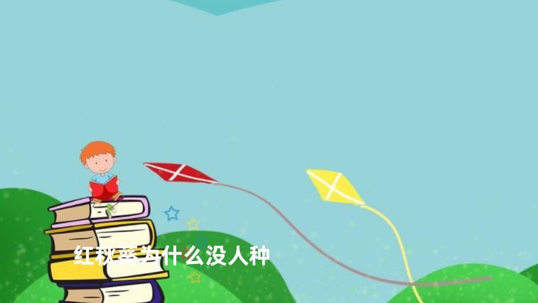 红秋葵为什么没人种