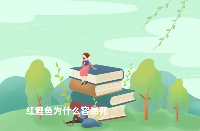 红鲤鱼为什么容易死