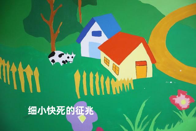 细小快死的征兆