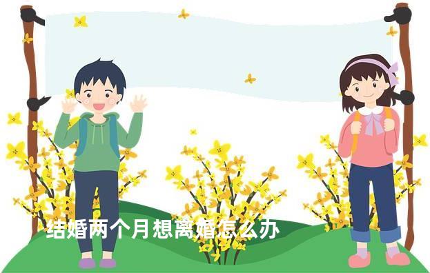 结婚两个月想离婚怎么办