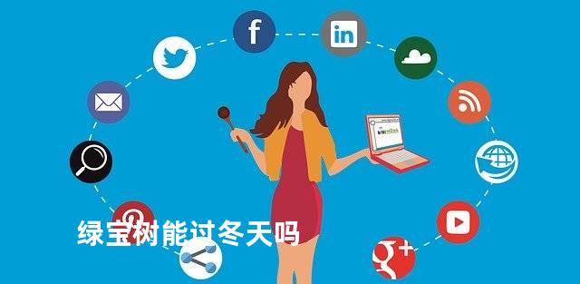 绿宝树能过冬天吗