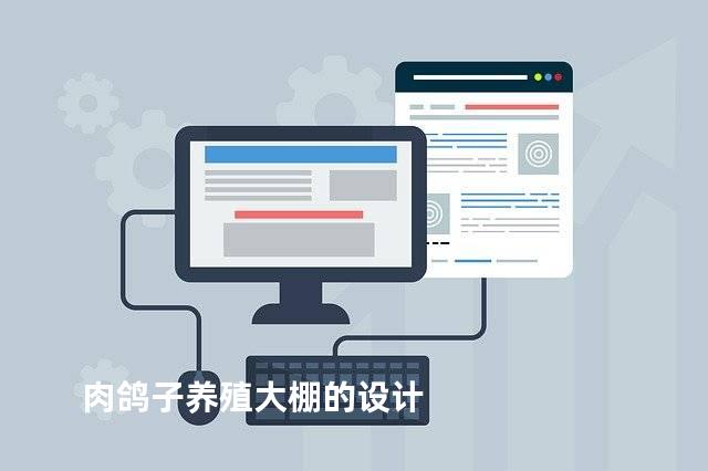 肉鸽子养殖大棚的设计