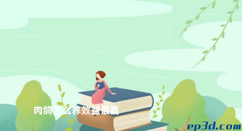 肉鸽怎么养效益最高