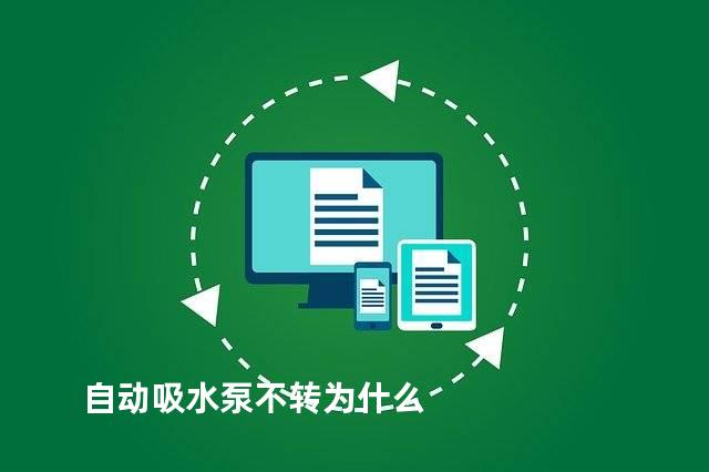 自动吸水泵不转为什么