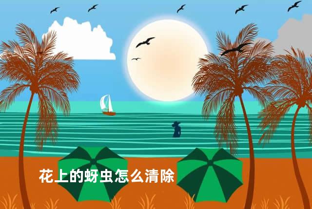 花上的蚜虫怎么清除
