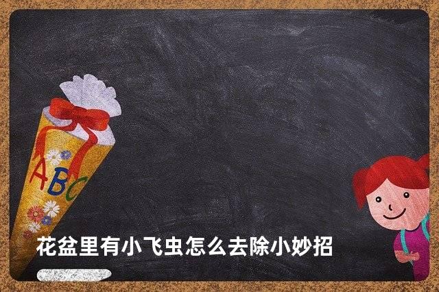 花盆里有小飞虫怎么去除小妙招