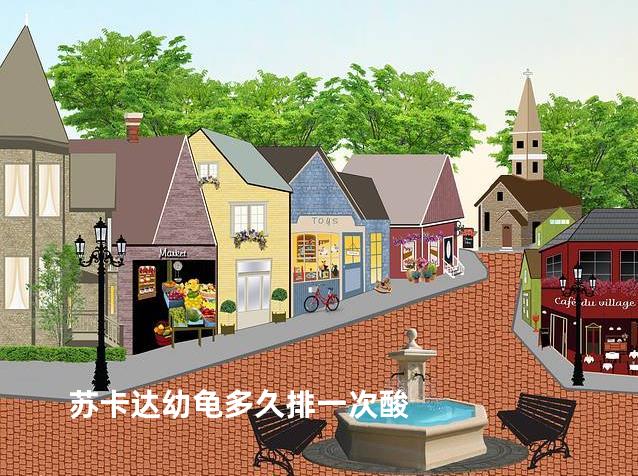 苏卡达幼龟多久排一次酸